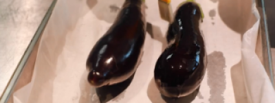 秒变大厨 烤茄子