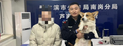 冰城警心护萌宠：三日连助三起“宠物回家记”彰显为民情怀