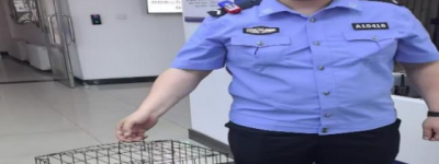 警民携手护生态：通达派出所民警成功解救国家二级保护动物夜鹭