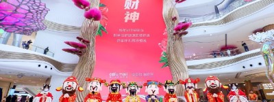 吉兔呈祥年味满满 中免集团新春活动助力消费回暖