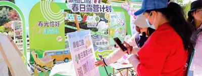 鼎植口腔春日露营圆满落幕，跨界联动带你乐享生活好滋味！