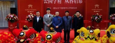 公园学府,从容启幕|德弘天下华府营销中心华美绽放