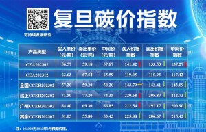 复旦大学可持续发展研究中心：节日效应下1月全国碳市场交易冷清