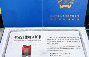 祝博雅音乐老师孙秀文荣获中华儿童文化艺术促进会艺术培训工作专家委员