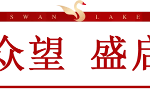 开盘劲销552套,硬实力燃沸深圳!