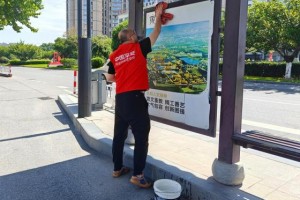 烈日映红心，环境共守护——东阳平安产险开展世界环境日公益活动